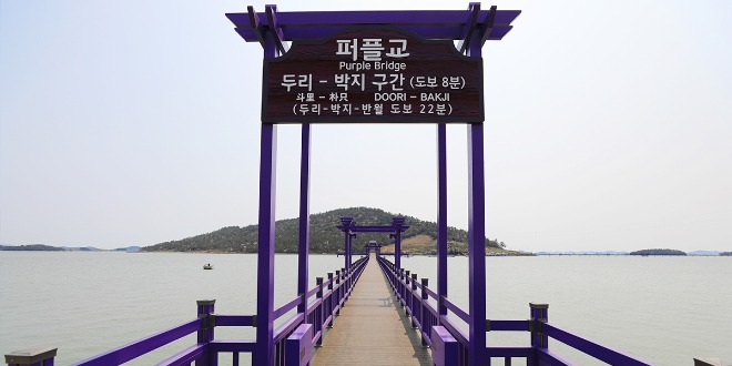 퍼플교1.jpg