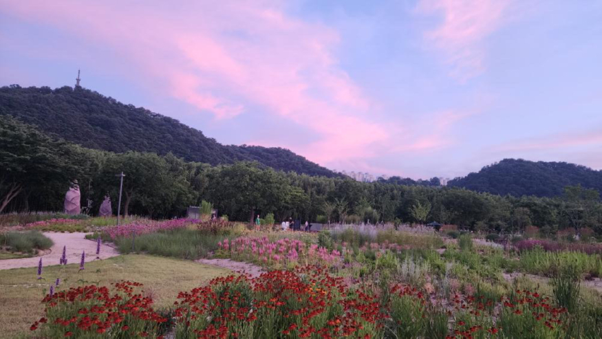 자연.jpeg
