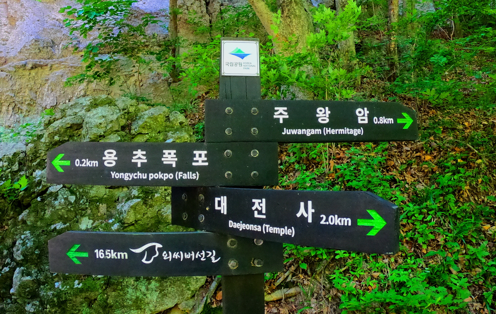 꾸미기_33.jpg