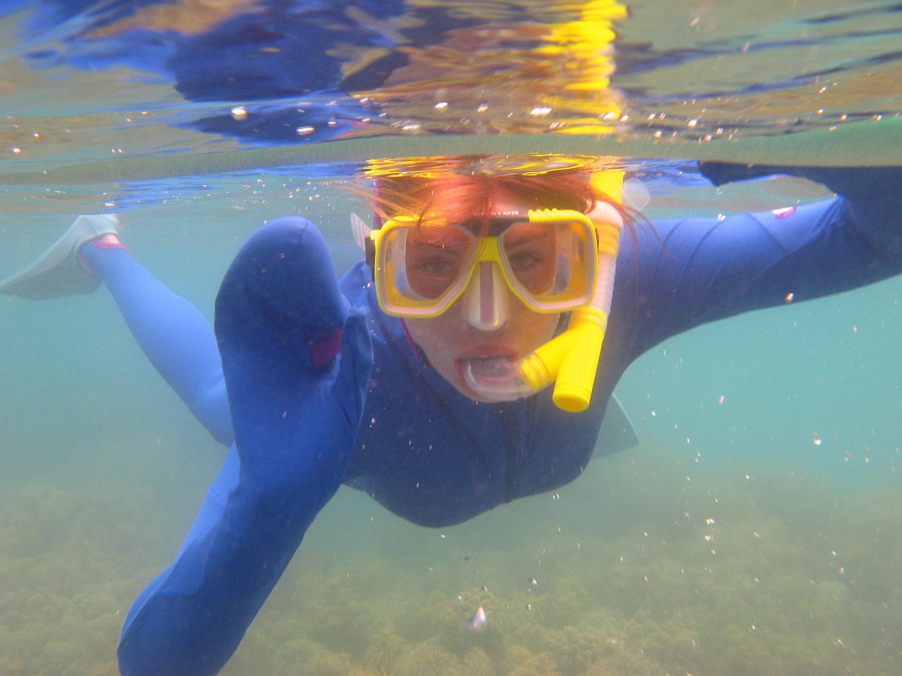 diver-179434_1280.jpg