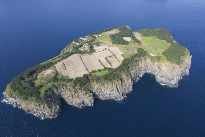 새우죽도 (1).jpg