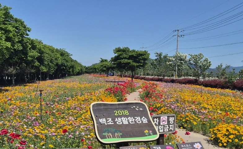 01.jpg