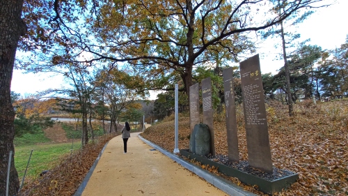 RPR202111180.jpg
