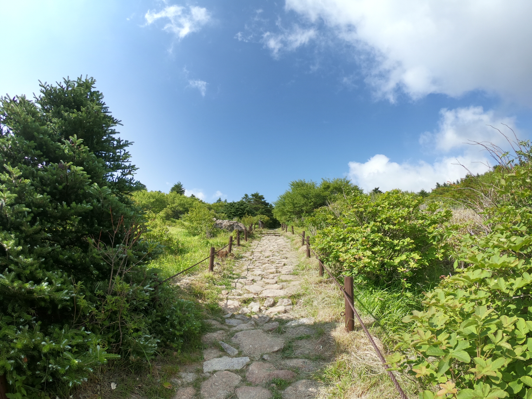 꾸미기_GOPR2890.JPG
