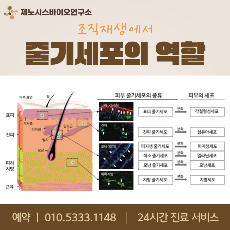 1000026311.png