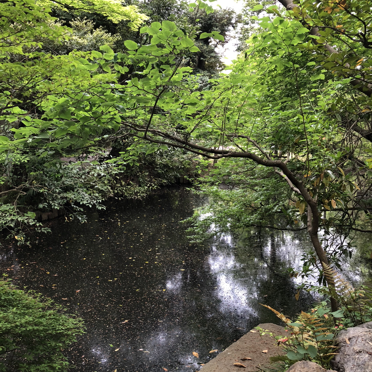 꾸미기_네즈미술관 정원 (8).jpeg