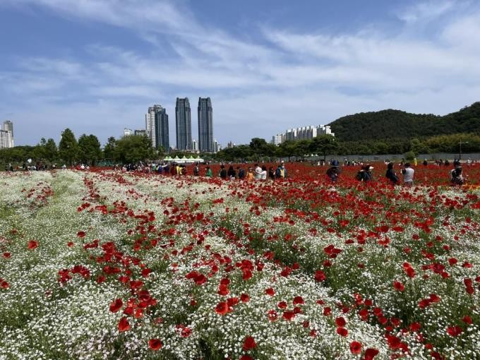 울산1.jpg