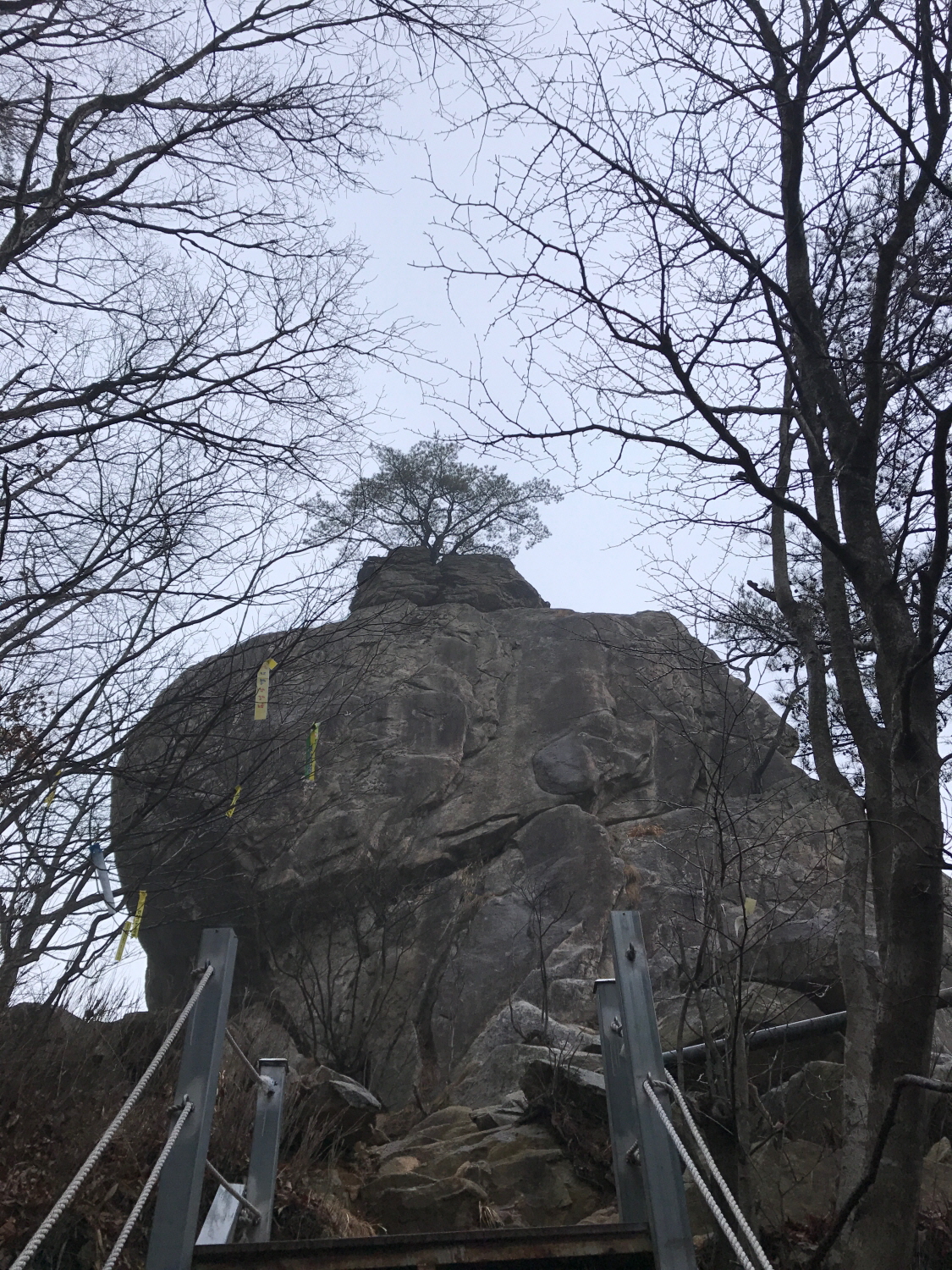꾸미기_IMG-5498.JPG