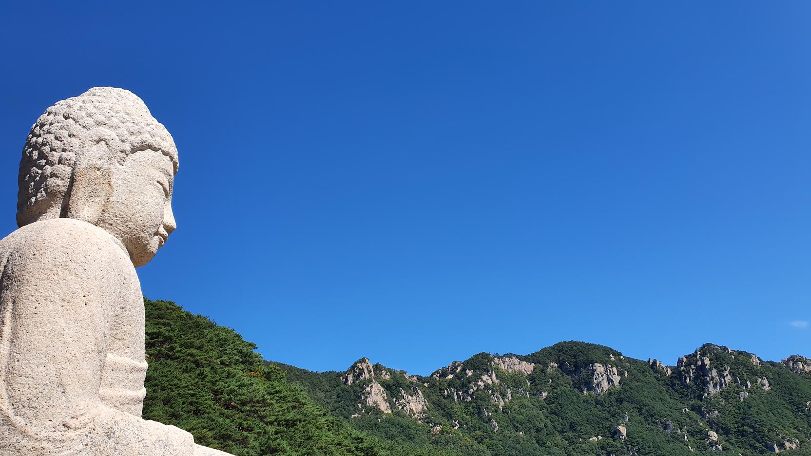 화-3.jpg