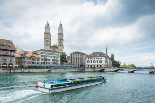 쥐Zurich_ST0072667.jpg