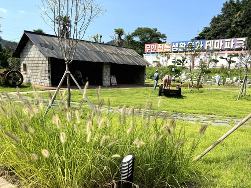 110.jpg