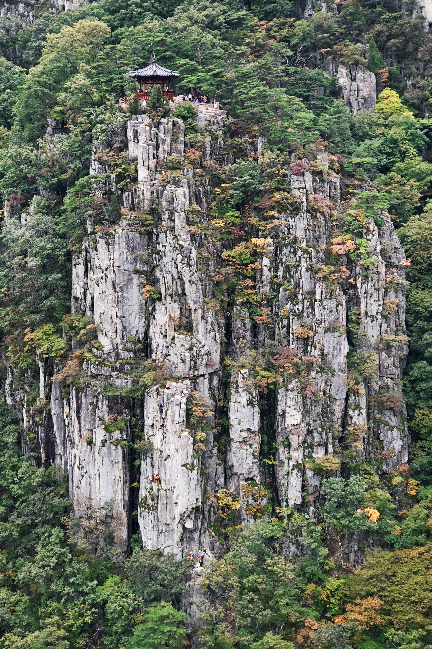 선일대111.jpg