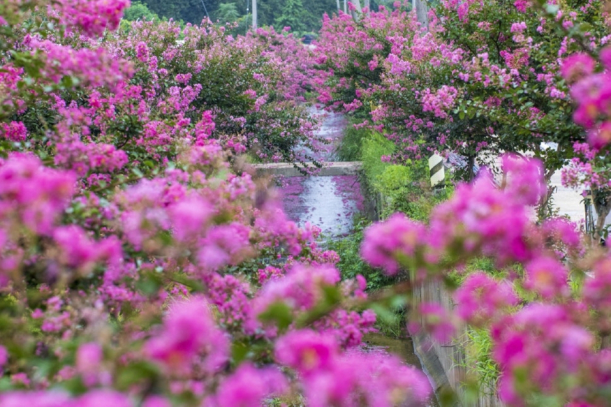 논산1.jpg
