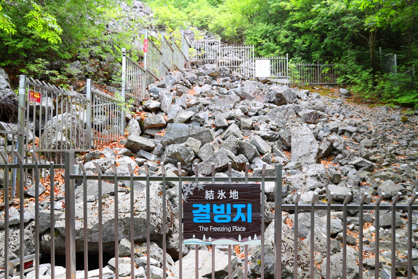 [CHOI CHI-SUN’s Photo Essay] Miryang Ice Valley... Where Ice Forms in Midsummer