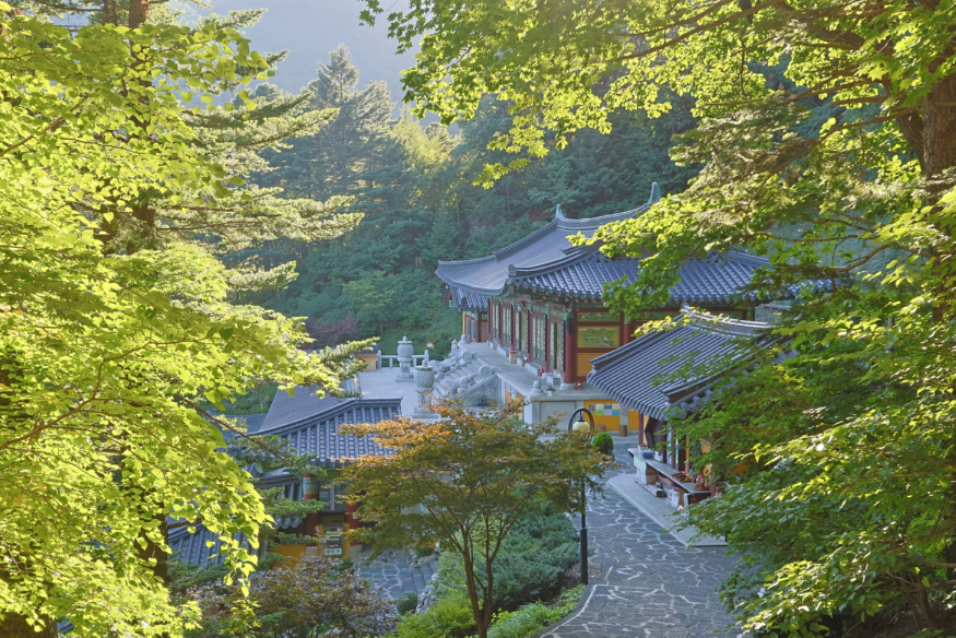 완성진부면.JPG