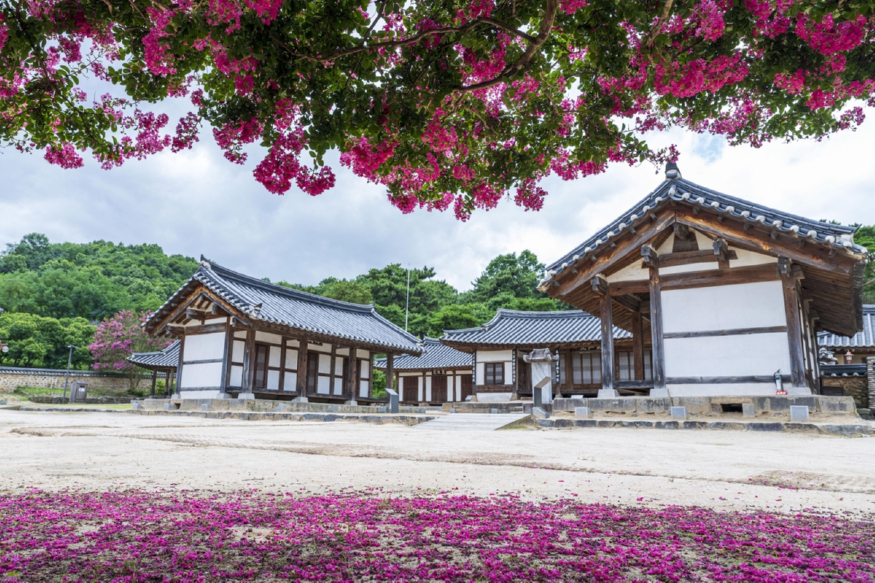 논산2.jpg