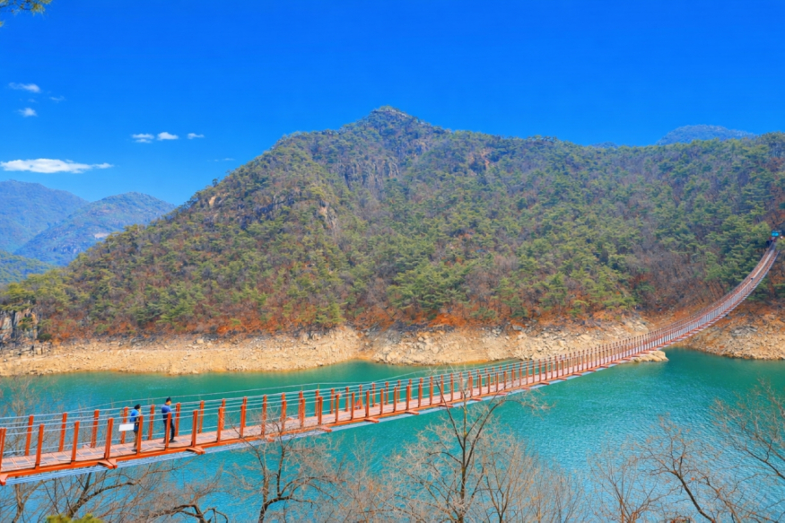 완성옥순봉 출렁다리.jpg