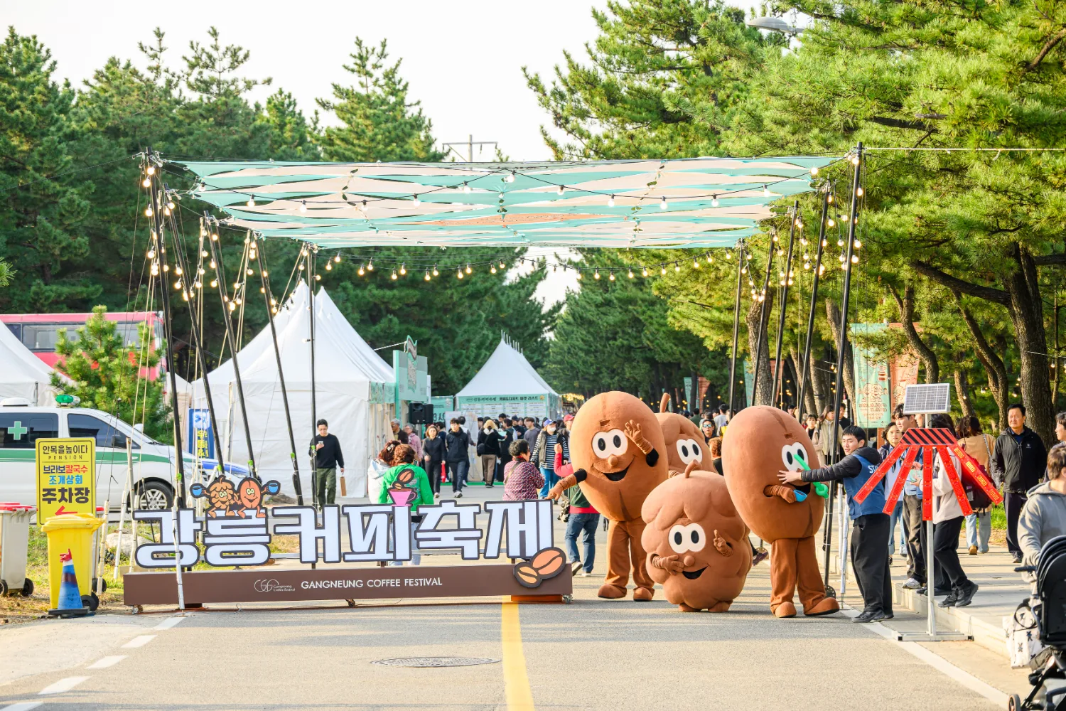 만화 스타일로 그려진 자연과 커피콩 캐릭터들이 어우러진 강릉커피축제 포스터 이미지.