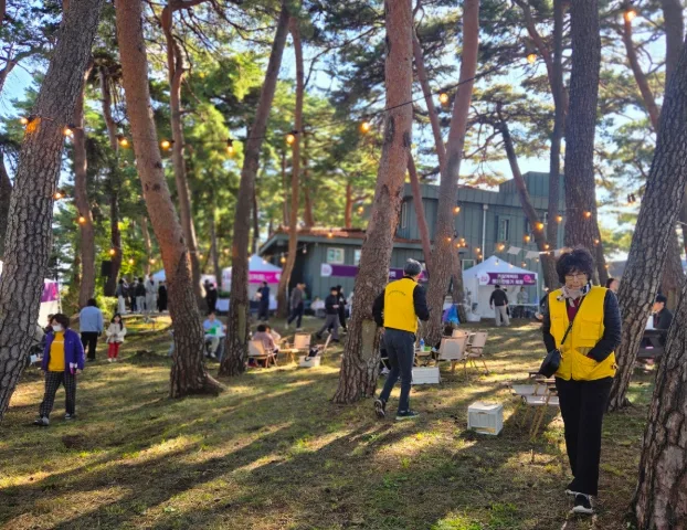 가을 숲 속에 설치된 축제 부스와 노랗게 보이는 봉사자 조끼를 입은 사람들과 방문객들이 있는 초당도시락 축제 현장 사진.