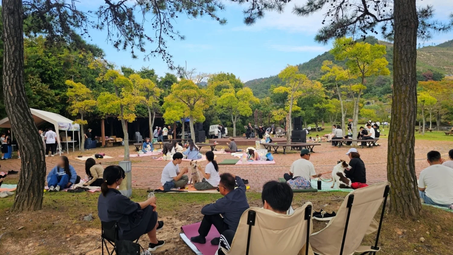 공원에서 여러 사람들이 반려견과 함께 앉아 즐겁게 시간을 보내고 있는 모습이다.