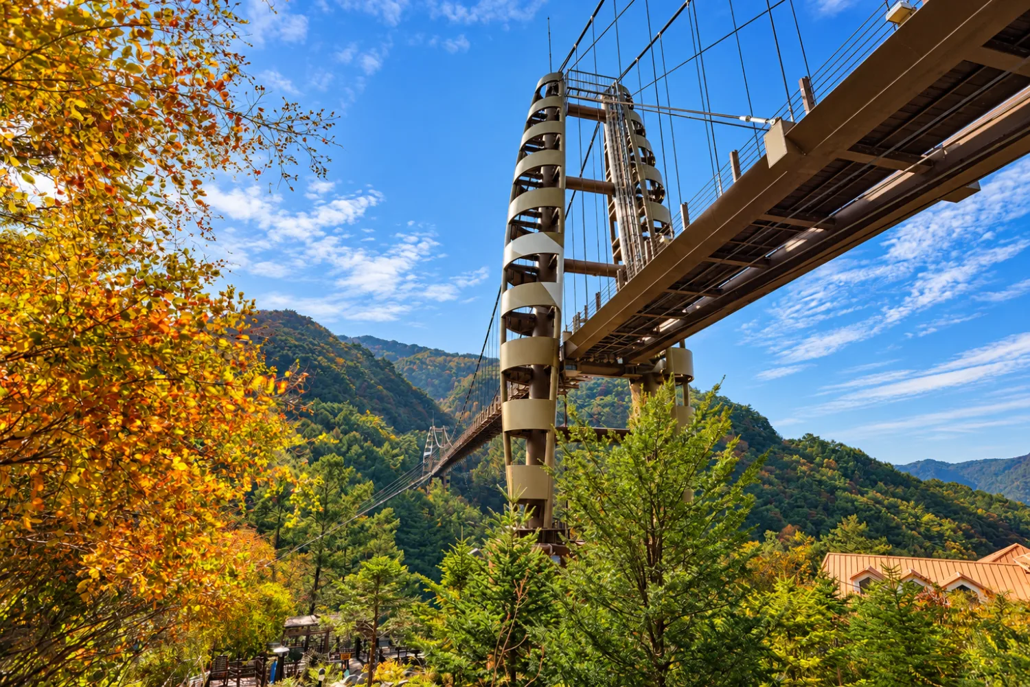푸른 산과 가을 단풍 사이로 길게 뻗은 좌구산 명상구름다리의 모습