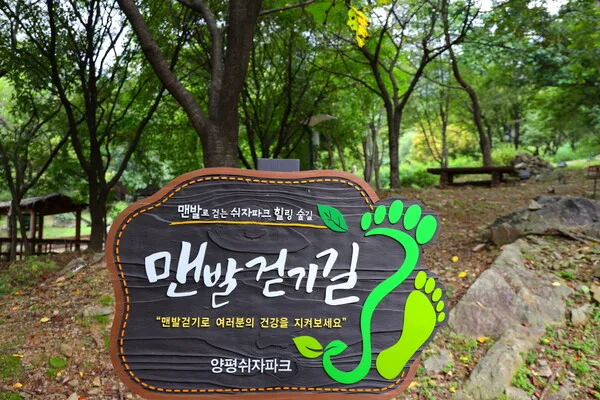 나무들 사이에 설치된 맨발걷기길 안내판과 숲길 일부가 보이는 모습.