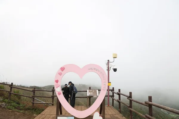 민둥산 정상 인근의 산길과 산등성이를 가득 메운 은빛 억새밭 모습